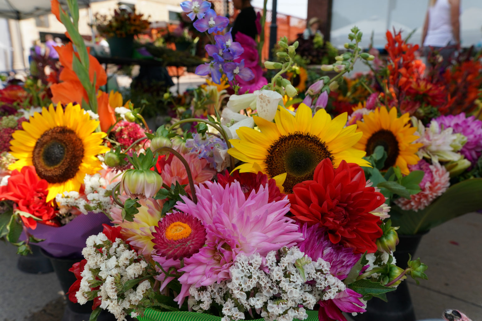 Oshkosh Farmer's Market Endless Shores Endless Shores